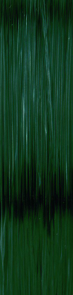 Predator-Z Oplus monofil harcsázó zsinór, zöld 0,80mm Predator-Z Oplus monofil harcsázó zsinór, zöld 0,80mm