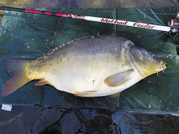 Methoddal kapitális halakra