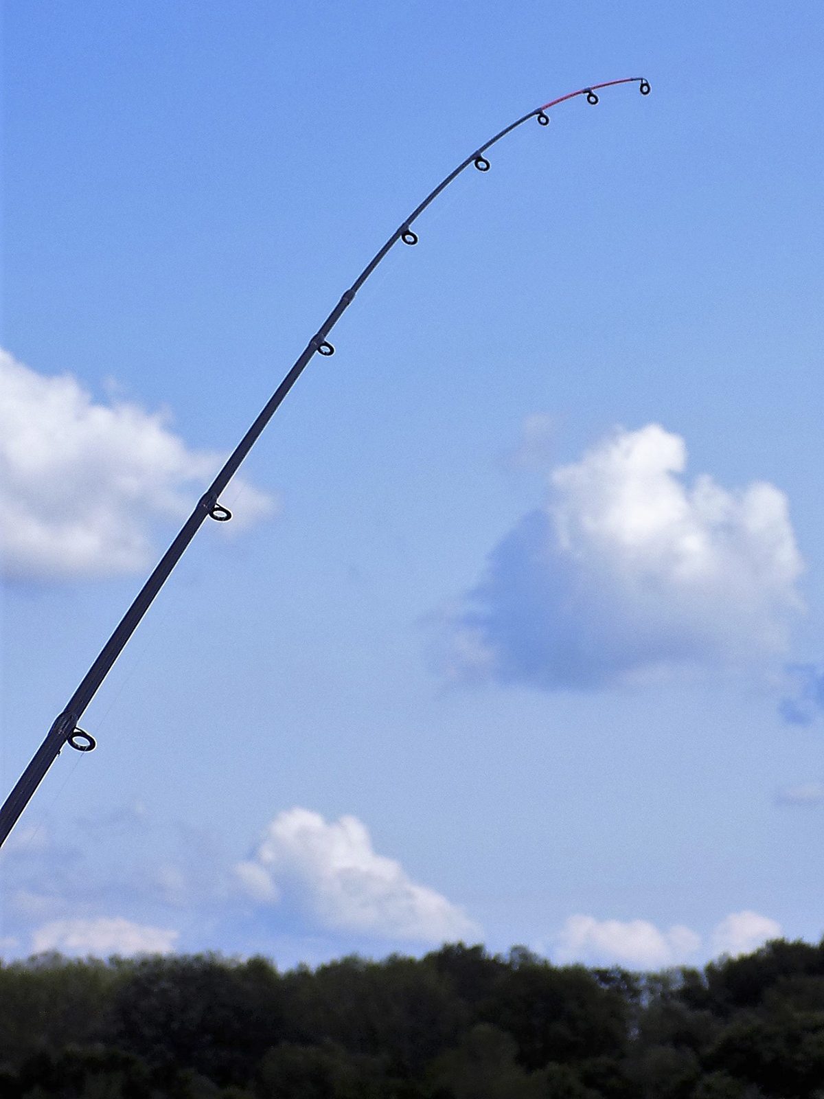 Method feederrel folyókon