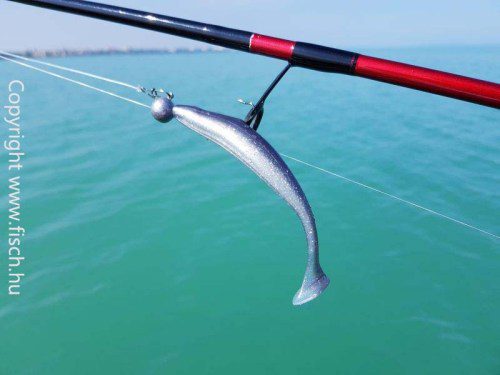 Balatoni Sárkányok | HorgászMánia friss horgász hírek
