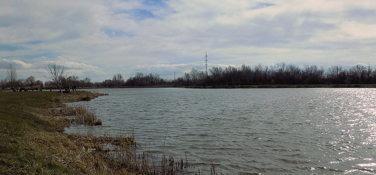 Tópart, horgászat, szabadidős tevékenység! Tópart, horgászat, szabadidős tevékenység!