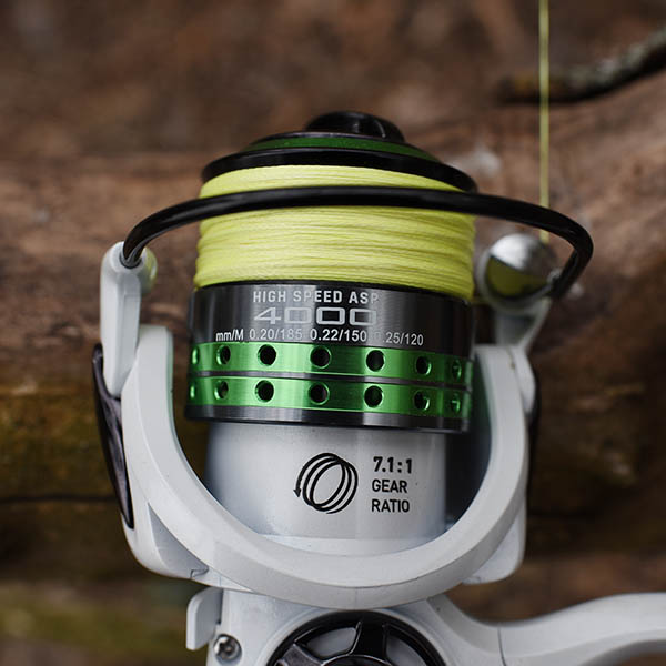 Tavaszi balinok-Horgász magazin