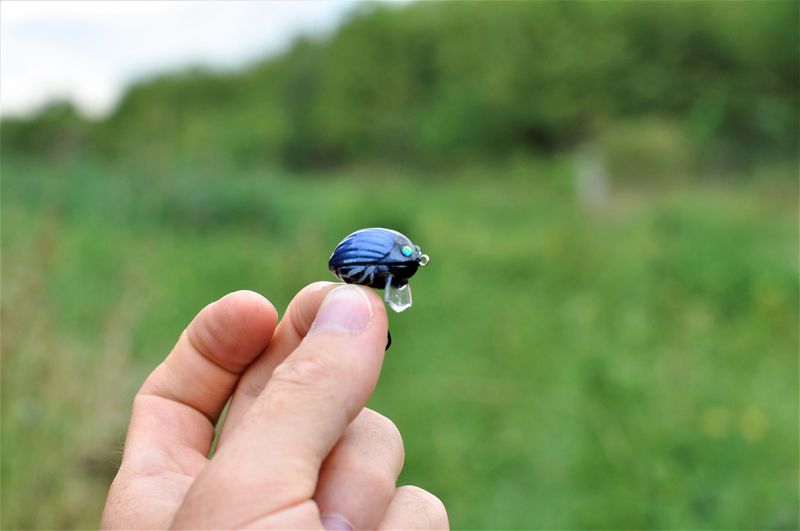 Salmo wobbler, Salmo wobblerek, wobbler, műcsali, Horgász Online Webáruház Salmo wobbler, Salmo wobblerek, wobbler, műcsali, Horgász Online Webáruház