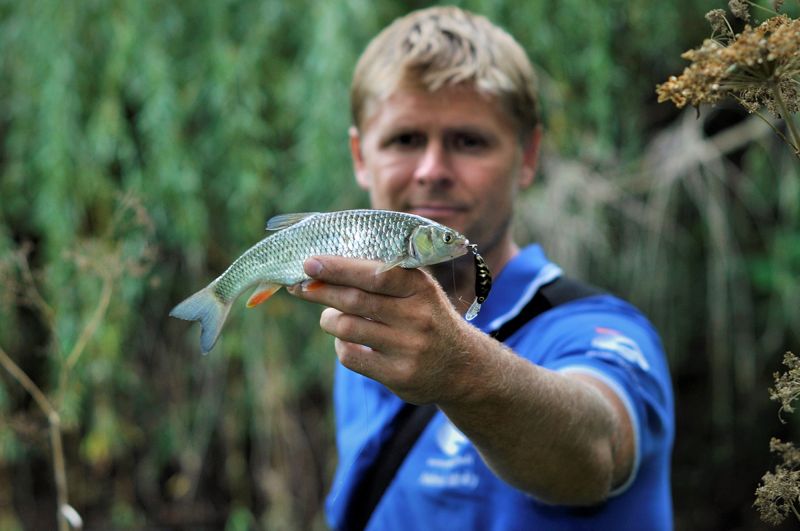 Salmo wobbler, Salmo wobblerek, wobbler, műcsali, Horgász Online Webáruház Salmo wobbler, Salmo wobblerek, wobbler, műcsali, Horgász Online Webáruház