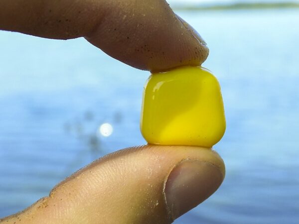 Methoddal kapitális halakra