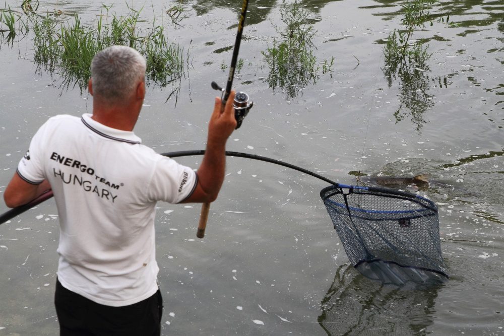 Tassi bosák-Busa horgászata