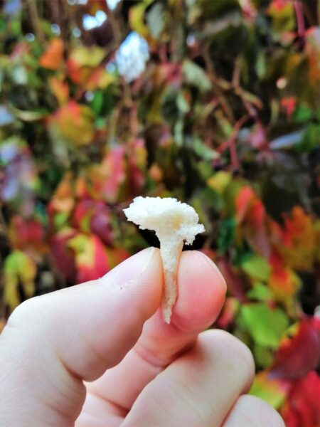 Horgászat paducra-Horgászonline webáruház Horgászat paducra-Horgászonline webáruház