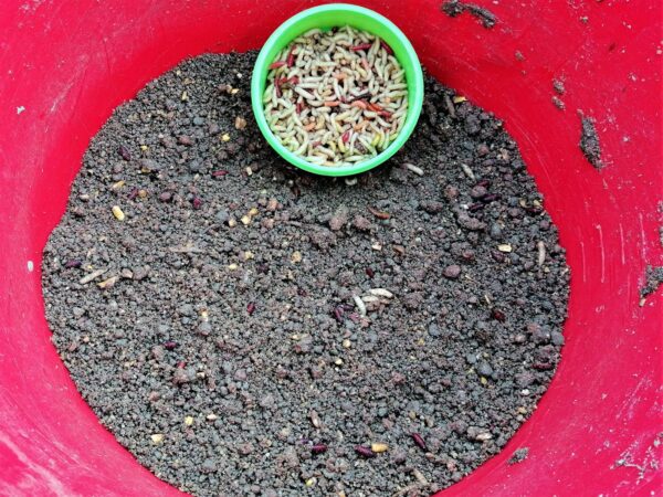 Horgászat paducra-Horgászonline webáruház Horgászat paducra-Horgászonline webáruház