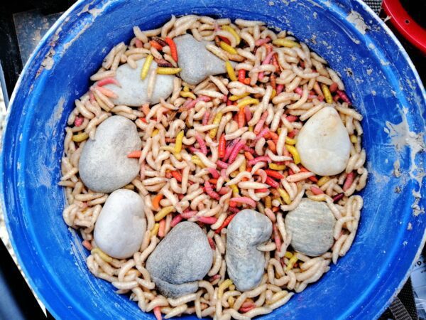 Horgászat paducra-Horgászonline webáruház Horgászat paducra-Horgászonline webáruház