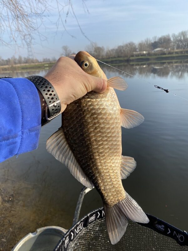 Ismeretlen vizeken – A Sajókeresztúri Horgásztó