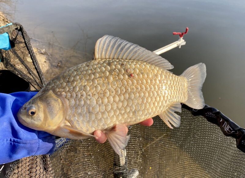 Ismeretlen vizeken – A Sajókeresztúri Horgásztó
